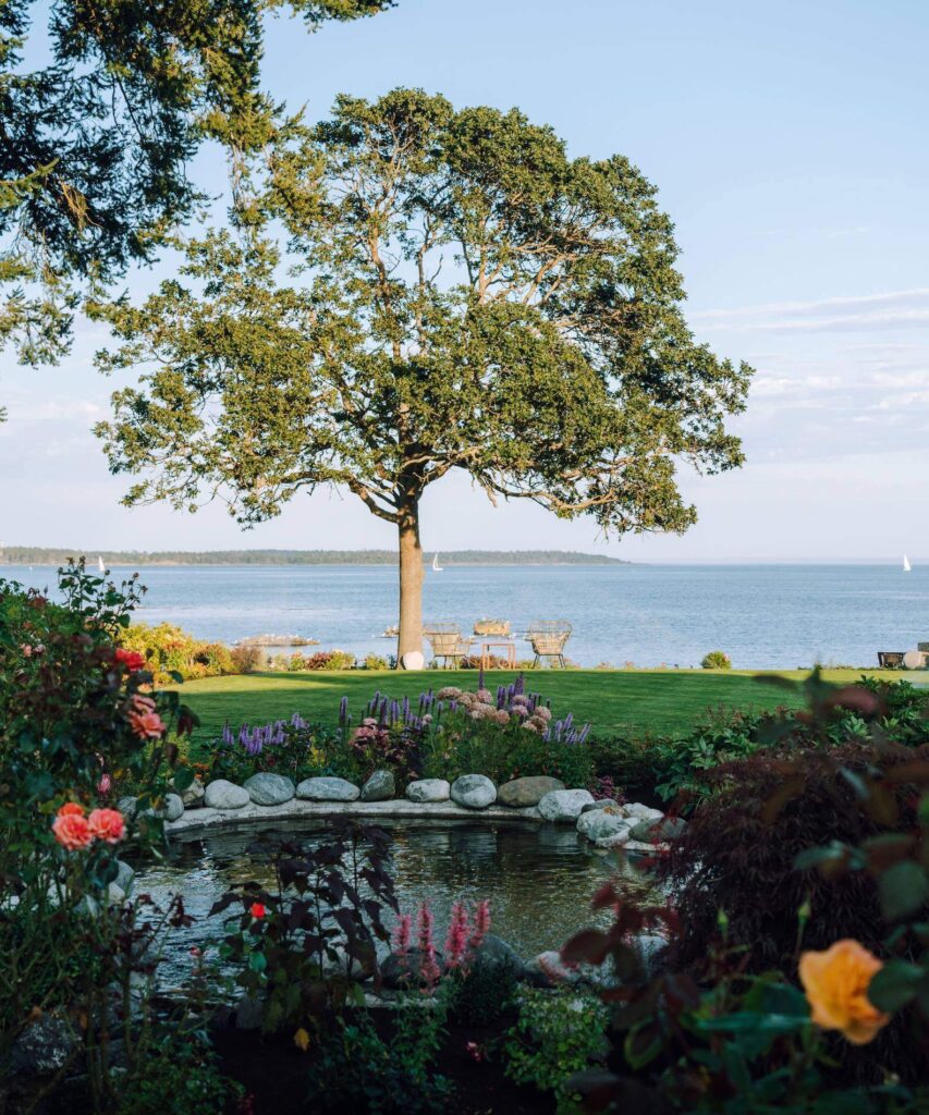 Outdoor landscape of tree with pond and ocean